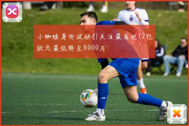 小蜘蛛身价波动引关注最高达12亿欧元最低降至8000万